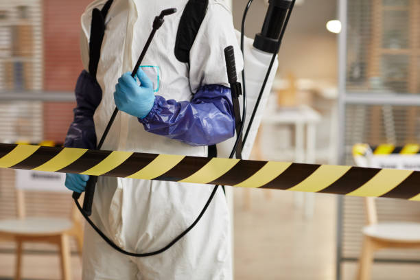 Professional Sewage Cleanup technician working in Burlington, KY